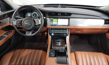 XF (x260)