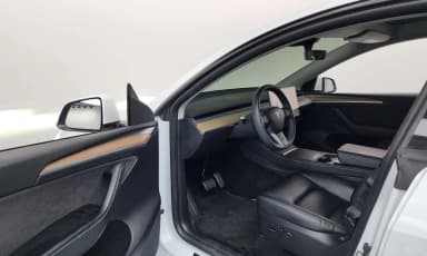 Model Y
