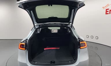 Model Y