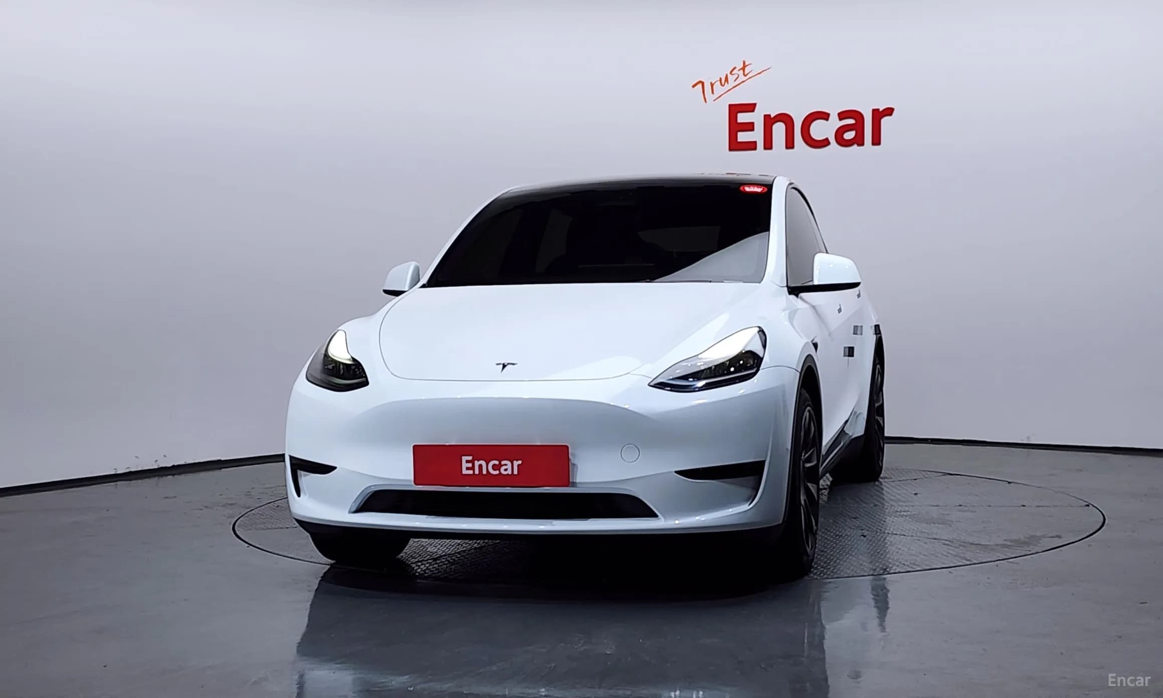 Model Y