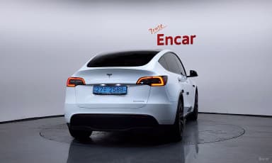 Model Y