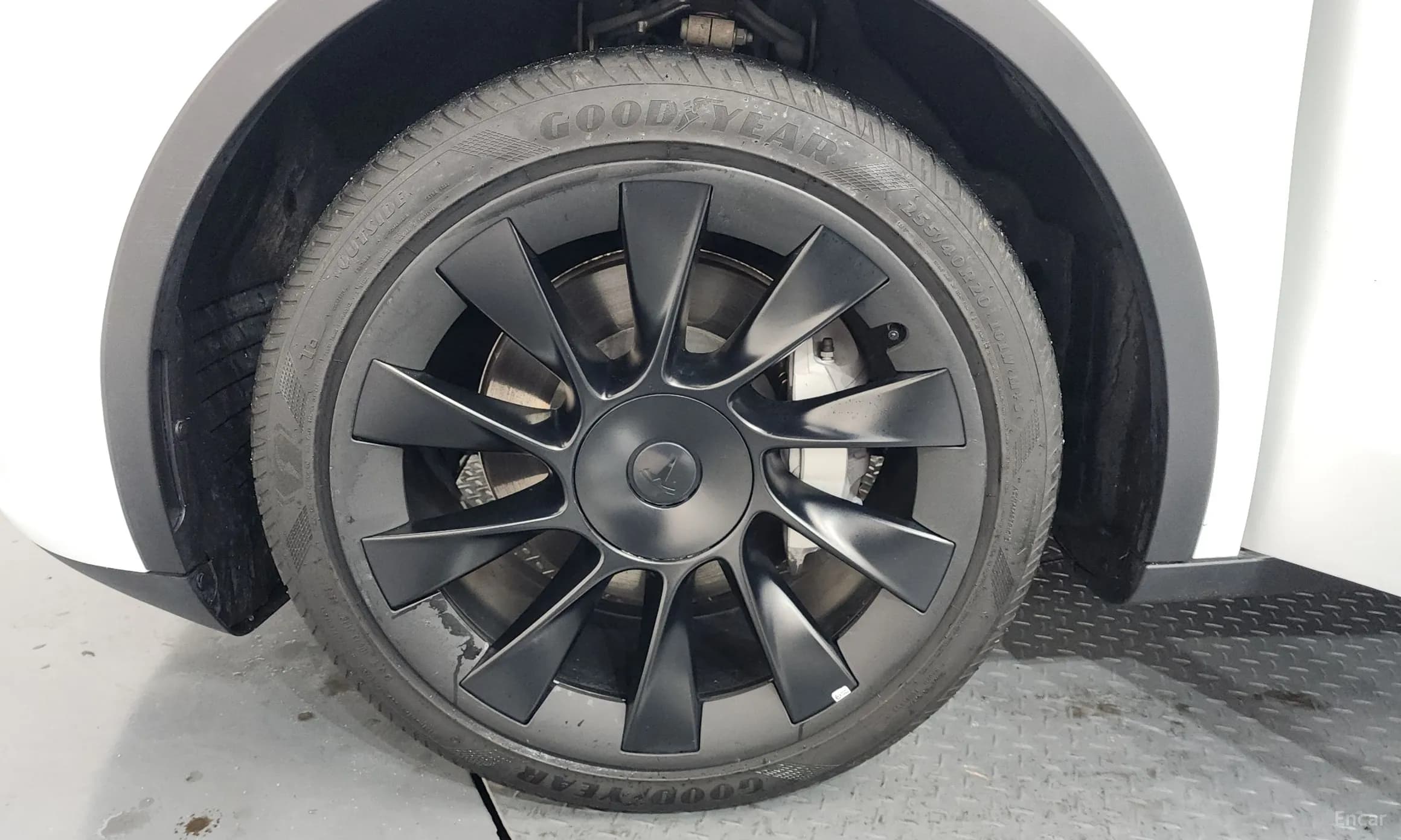 Model Y