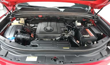 Rexton Sports