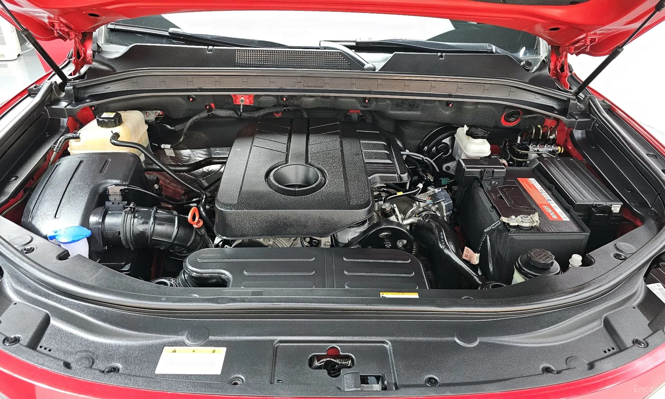 Rexton Sports