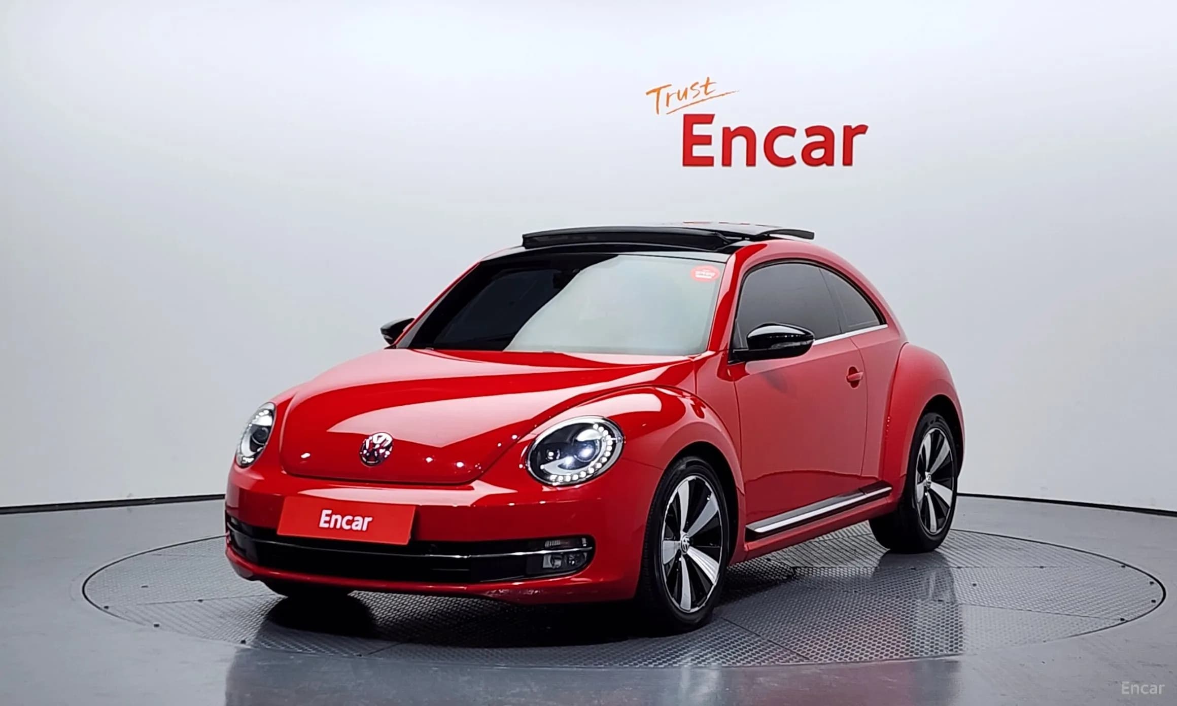 The Beetle