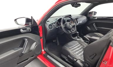 The Beetle