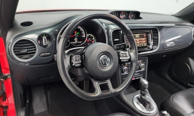 The Beetle