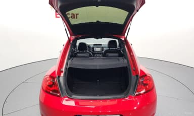 The Beetle
