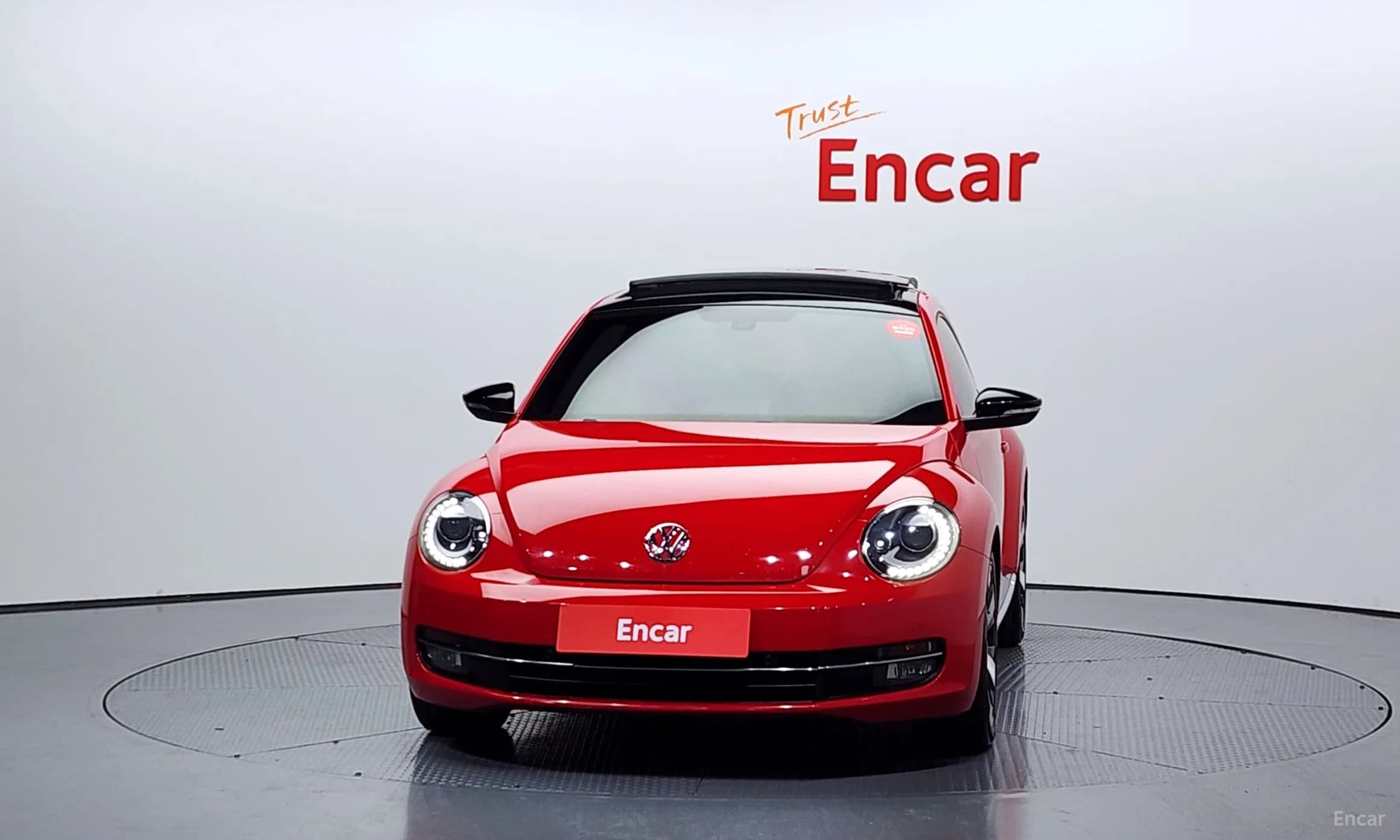 The Beetle