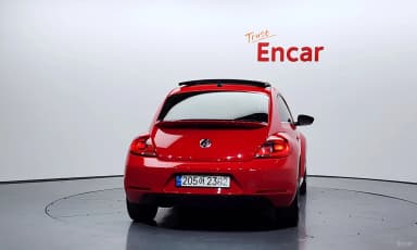 The Beetle