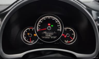 The Beetle
