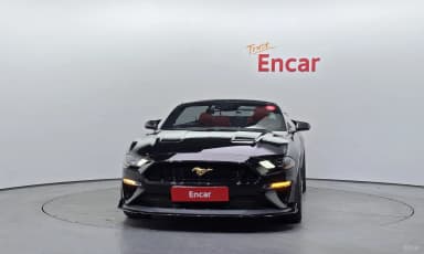 Mustang