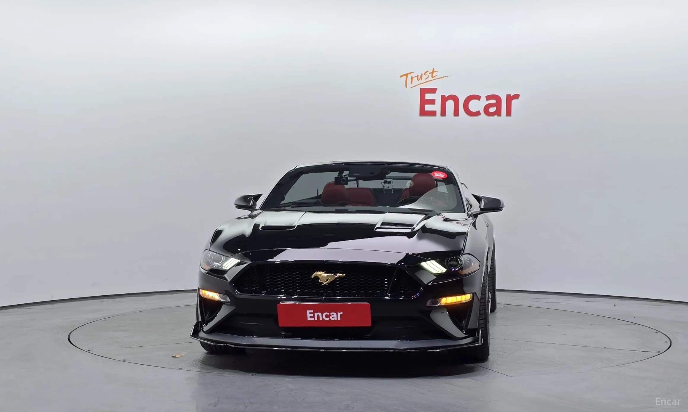 Mustang