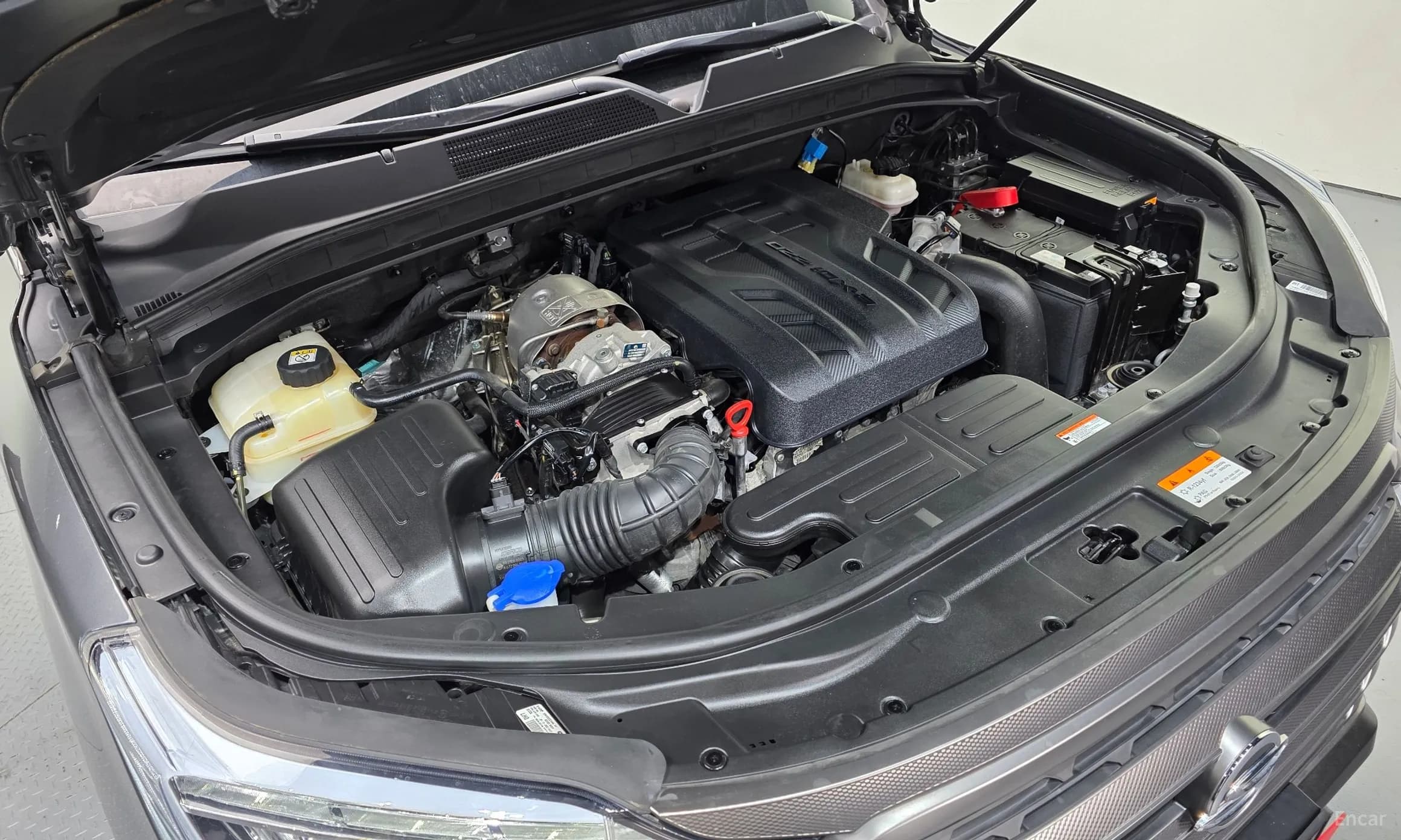 Rexton Sports