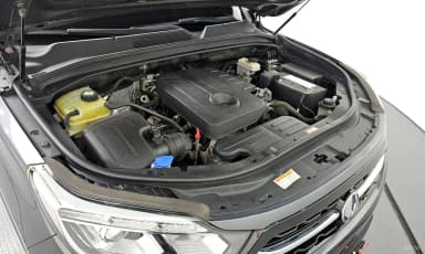 Rexton Sports
