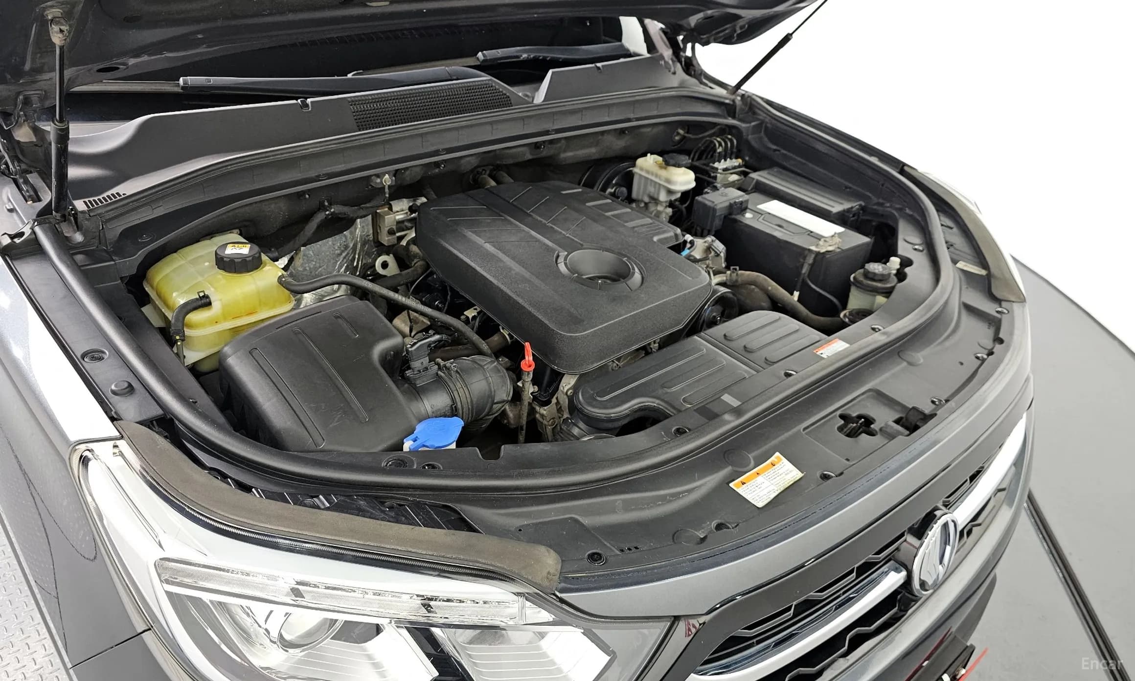 Rexton Sports