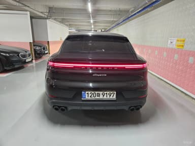 Cayenne (PO536)