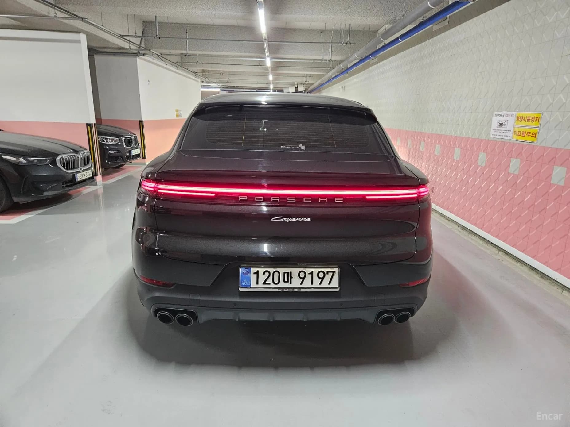 Cayenne (PO536)