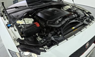 XF (x260)