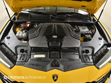 Urus