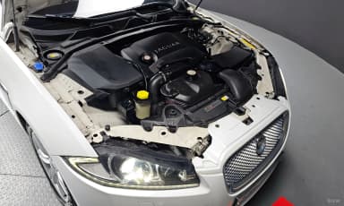 New XF