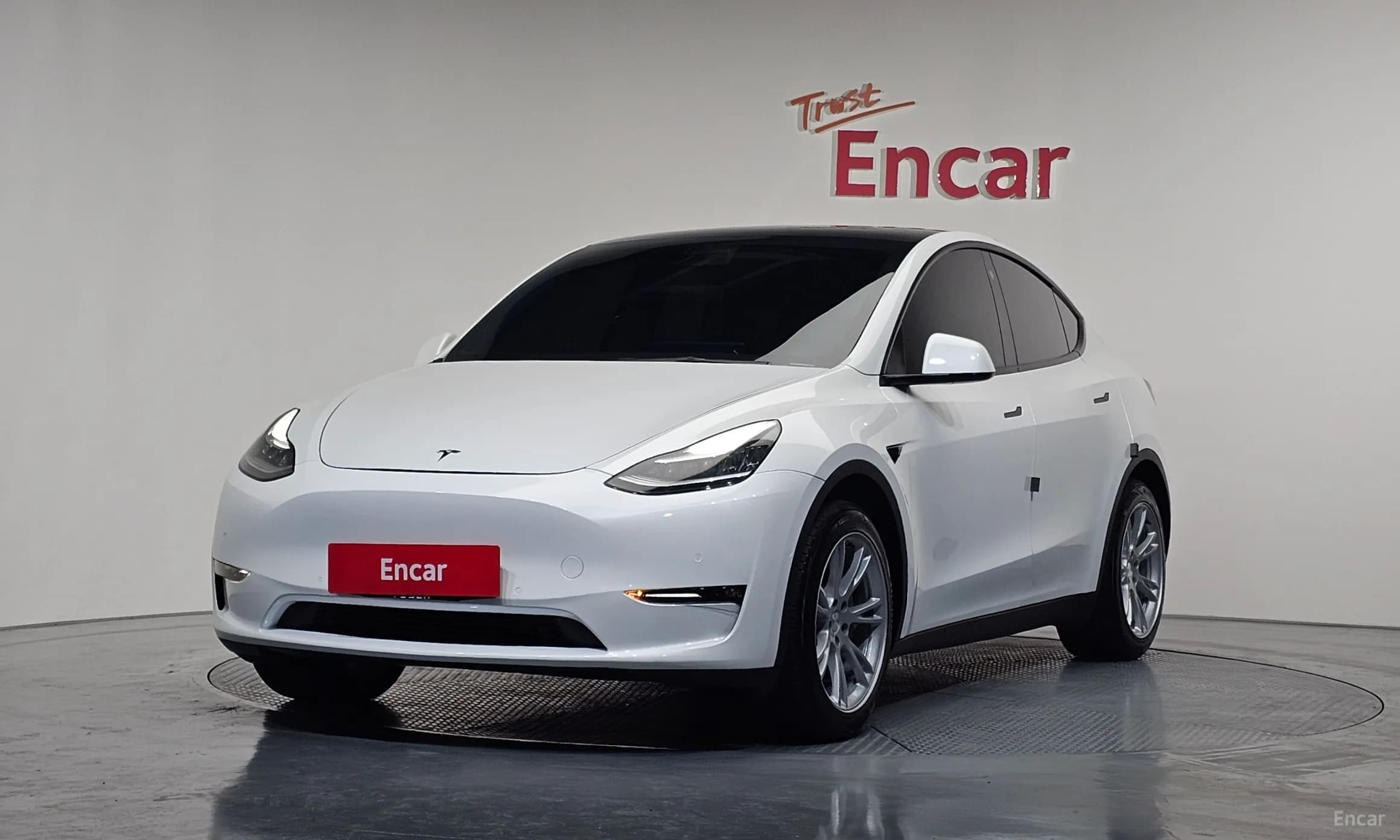Model Y