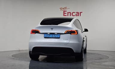 Model Y