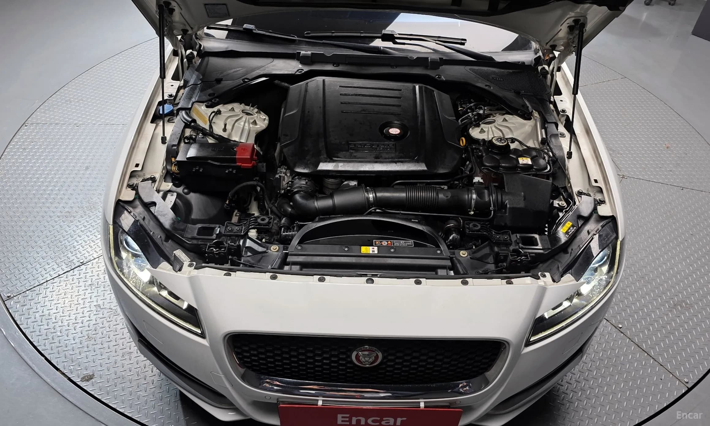 XF (x260)