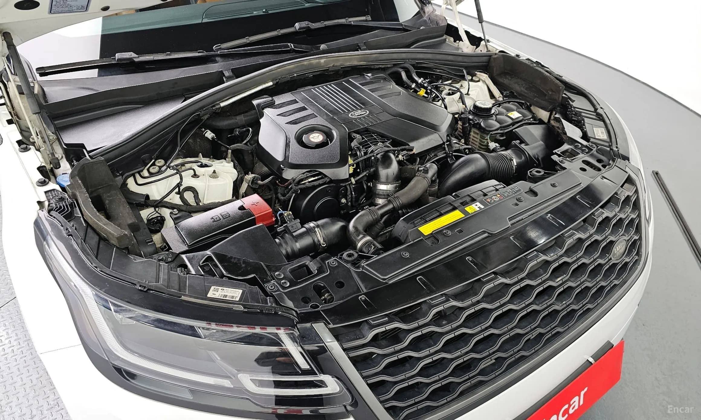 Range Rover Bella