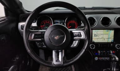 Mustang