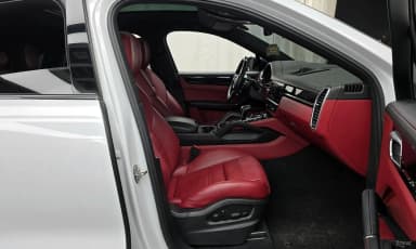 Cayenne (PO536)