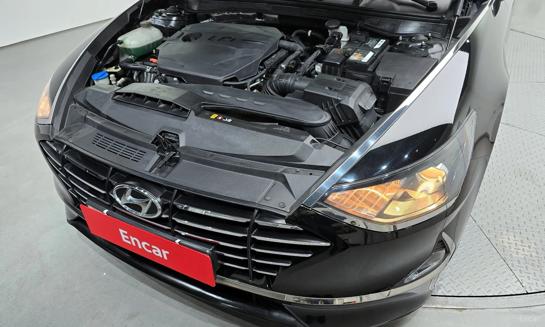 Sonata (DN8)
