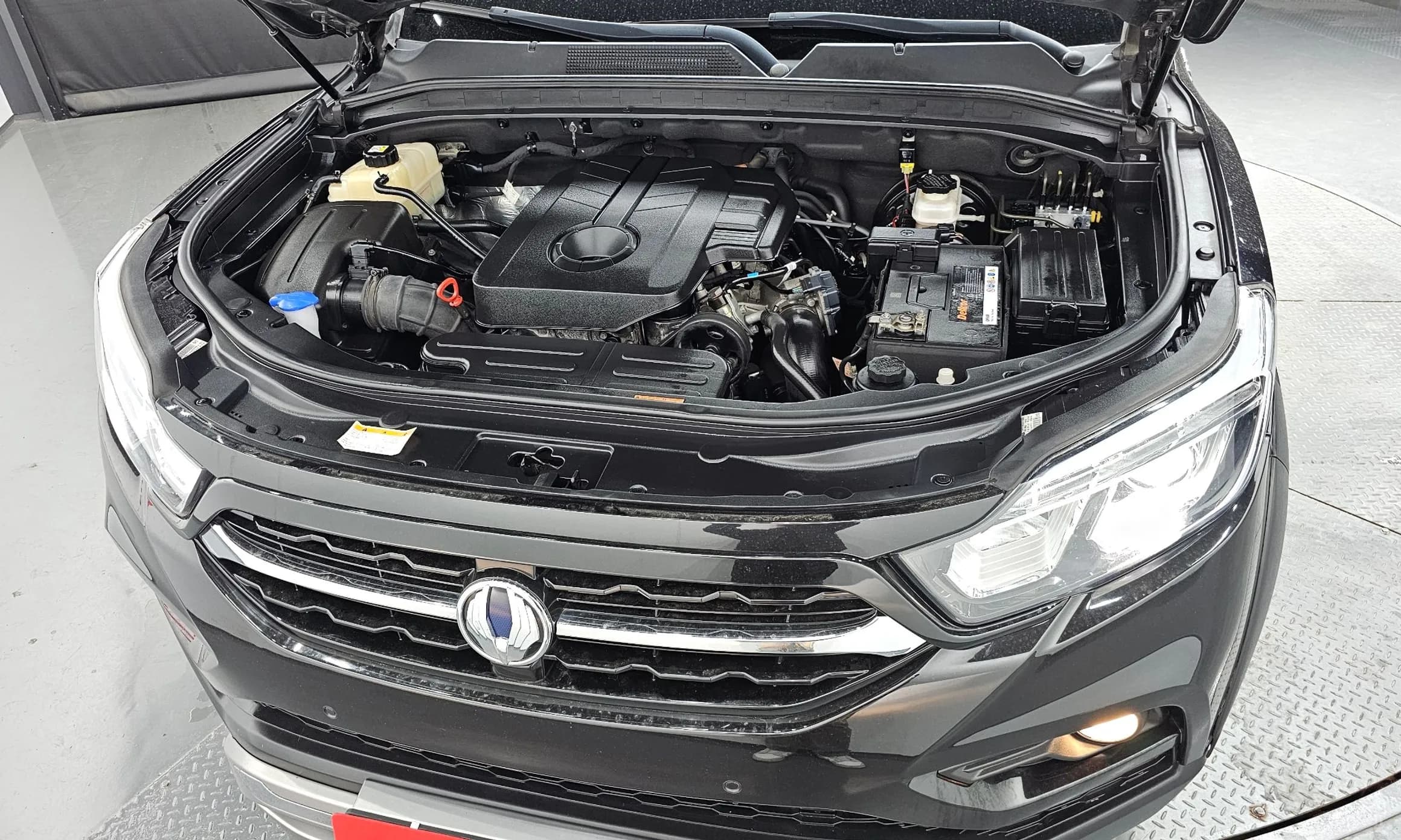 Rexton Sports