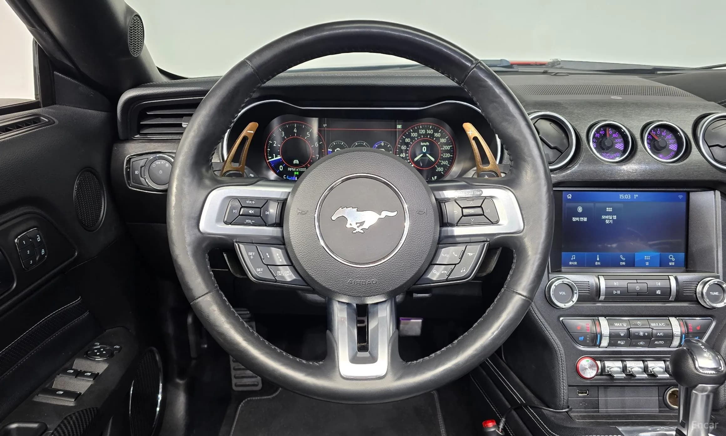 Mustang