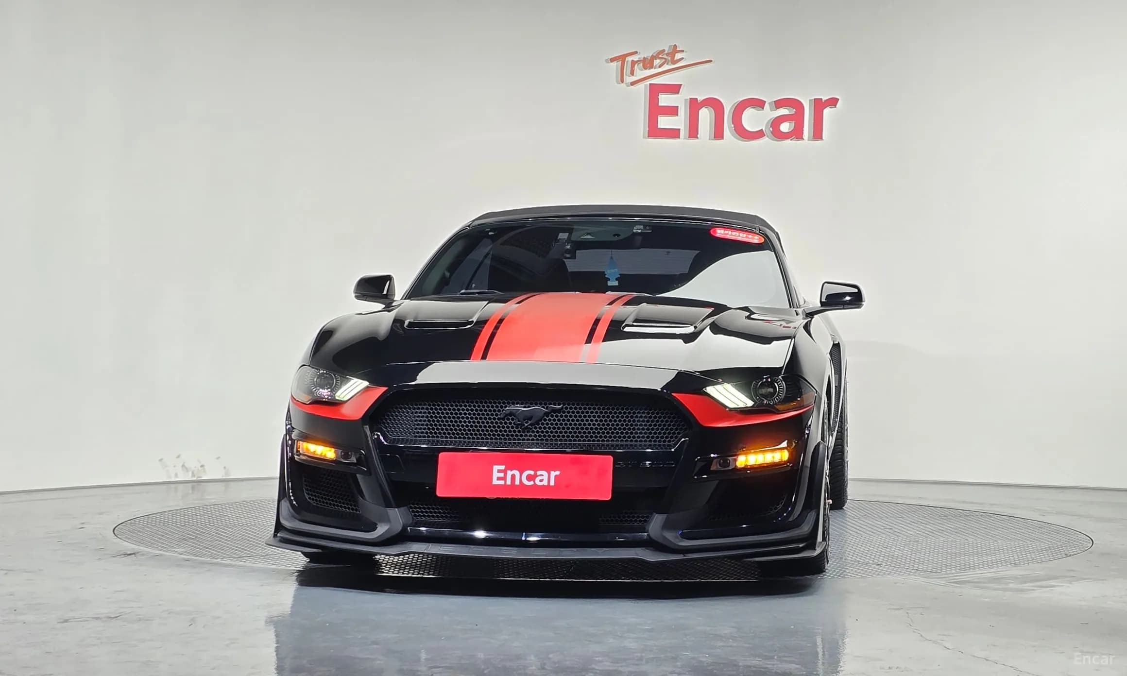 Mustang