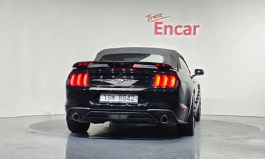 Mustang
