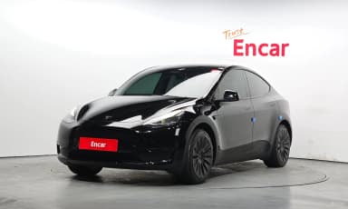 Model Y