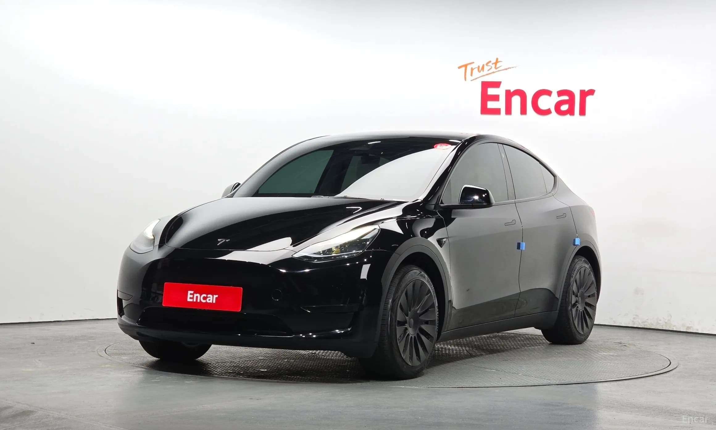 Model Y