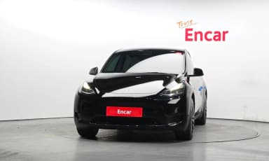 Model Y