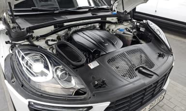 Macan