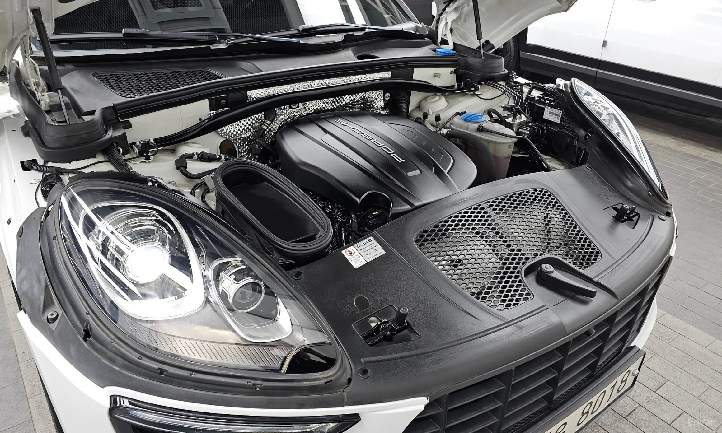 Macan