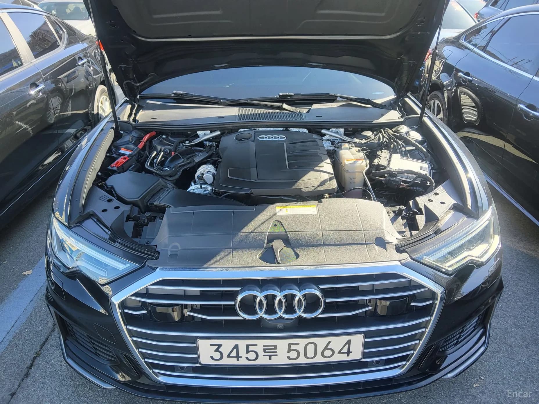 A6 (C8)