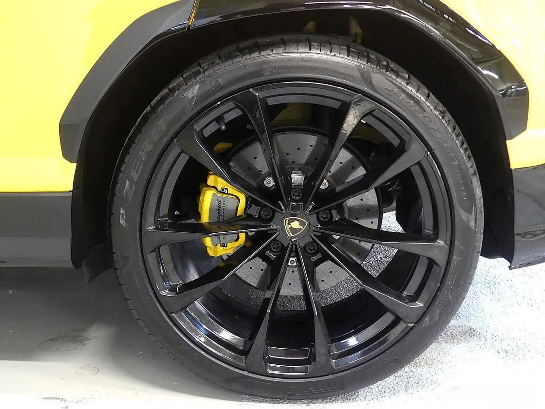 Urus