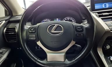 NX300h