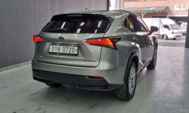 NX300h