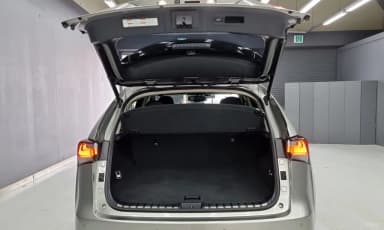 NX300h