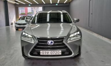 NX300h