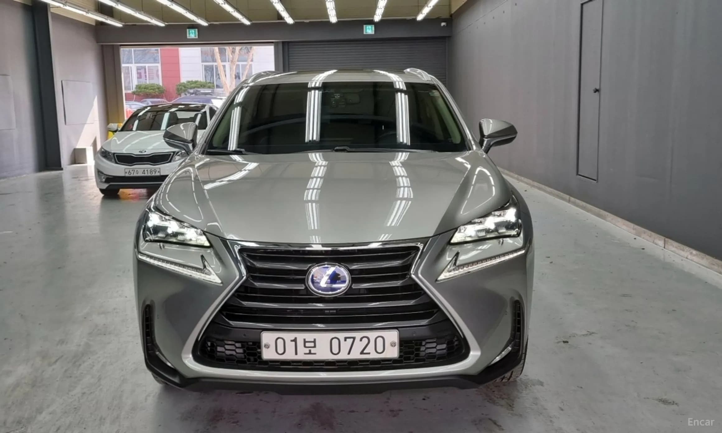 NX300h