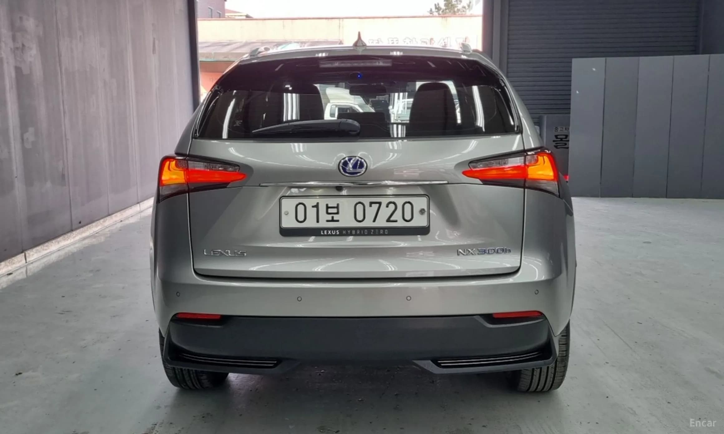 NX300h