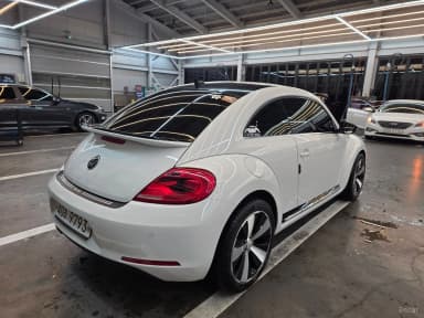 The Beetle
